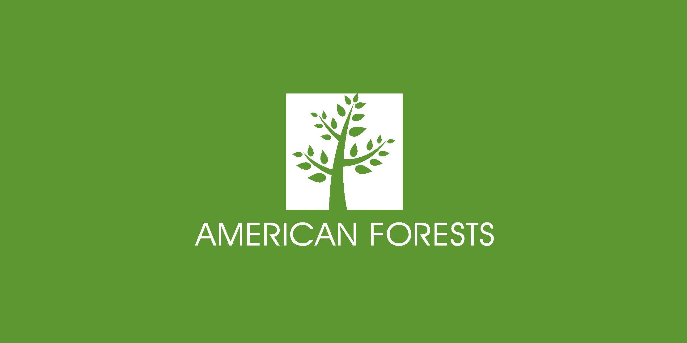 American Forest logo