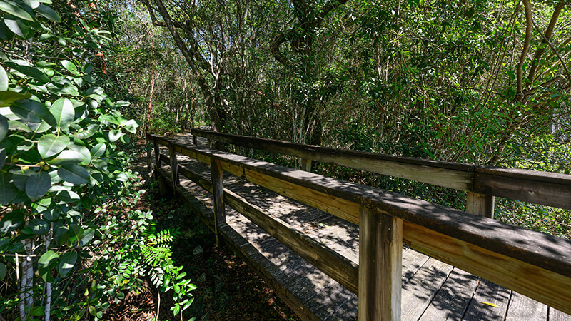 A bridge at Camp Redlands near Camp Owaissa Bauer.
