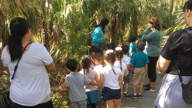 Group on nature walk.