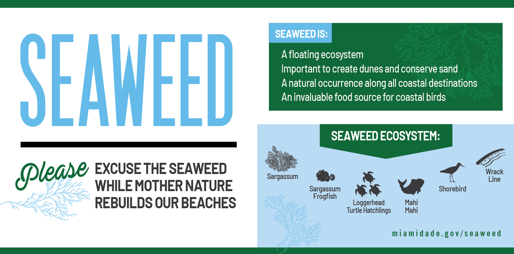 infographic explaining seaweed is: A floating ecosystem, Important to create dunes and conserve sand, A natural occurrence along all coastal destinations, An invaluable food source for coastal birds