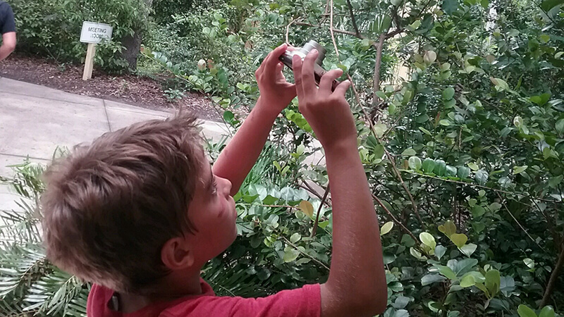 A boy taking a photo in nature.