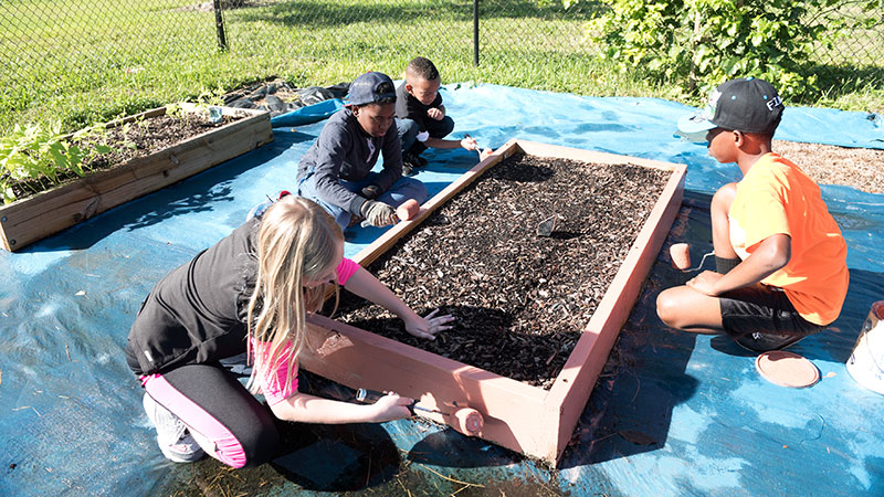 Volunteers at a Miami-Dade park.