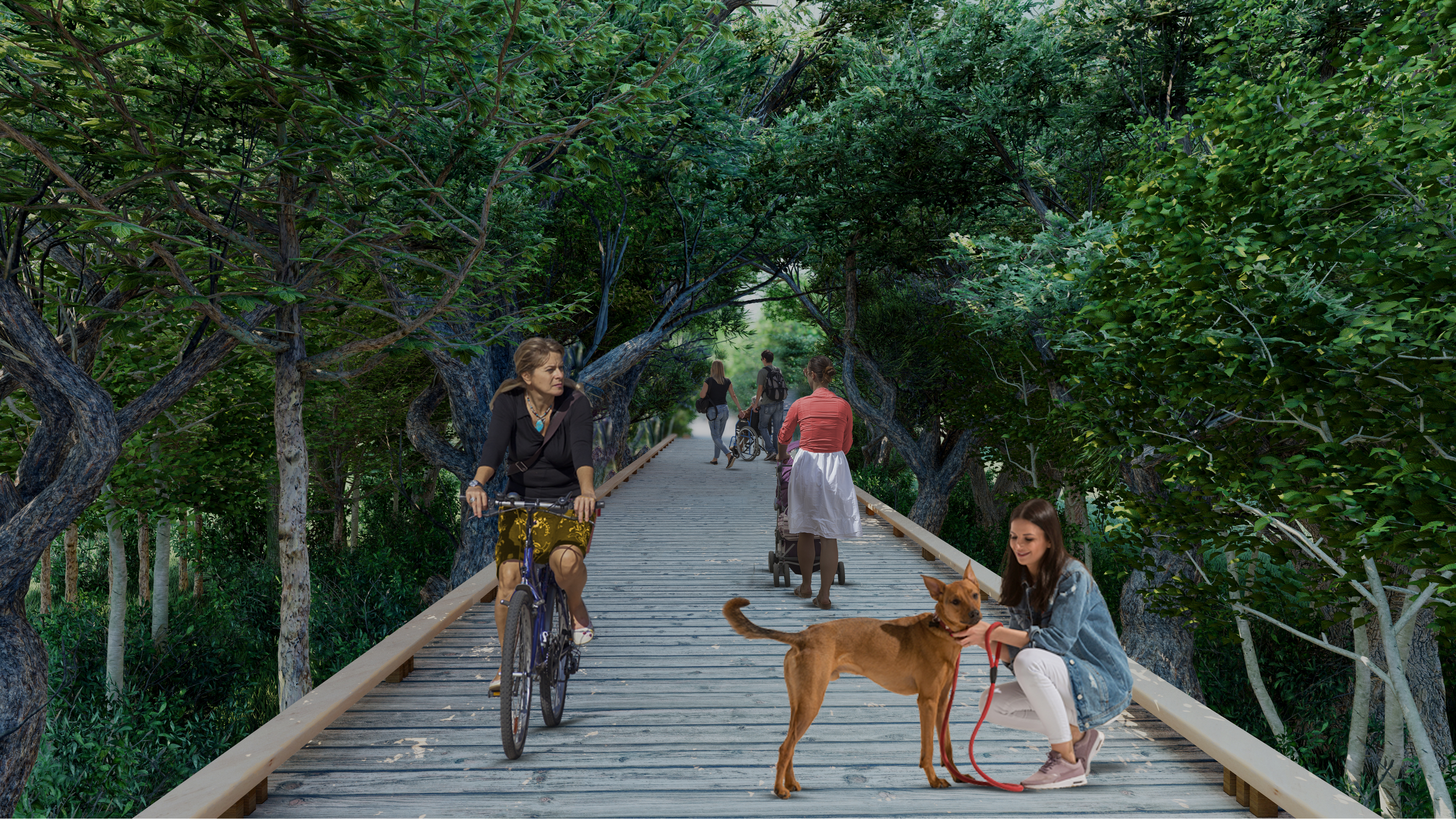 Renderings for Matheson improvements