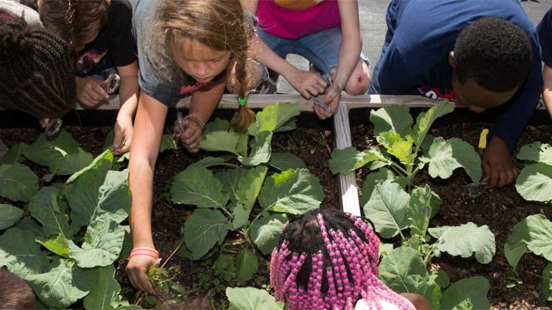 Children with plants