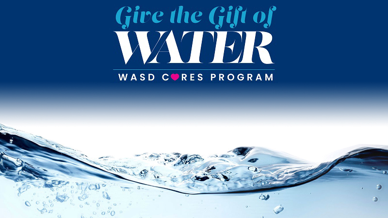 WASD Cares Logo