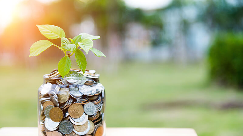 jar filled with coins and a sapling