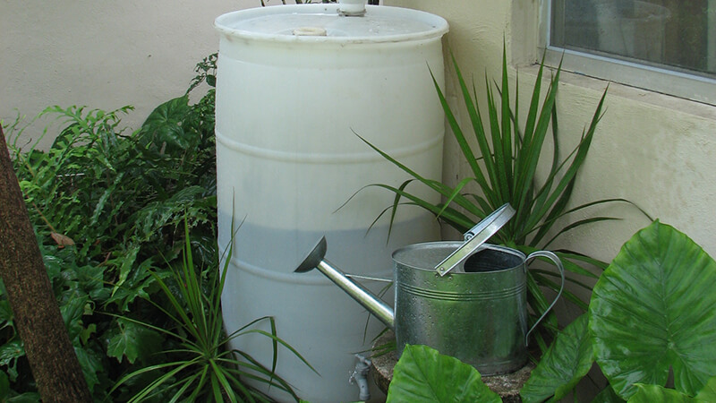 A rain barrel.