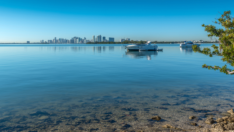 Save Biscayne Bay