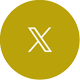 X icon