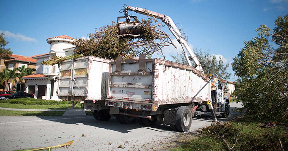 photo of dump trucks collecting tree debris in a residential neighborhood after hurricane Irma