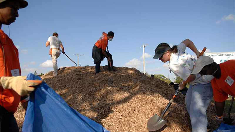 People standing on a pile of mulch and scooping it into bags.