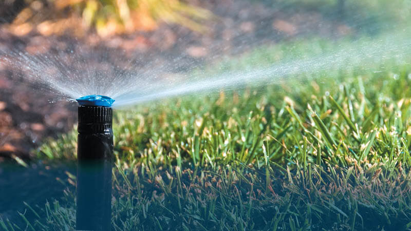 Sprinkler watering grass.