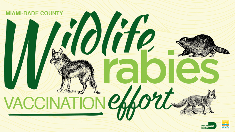 graphic with foxes and a raccoon, and the words "Wildlife Rabies Vaccination Effort" 
