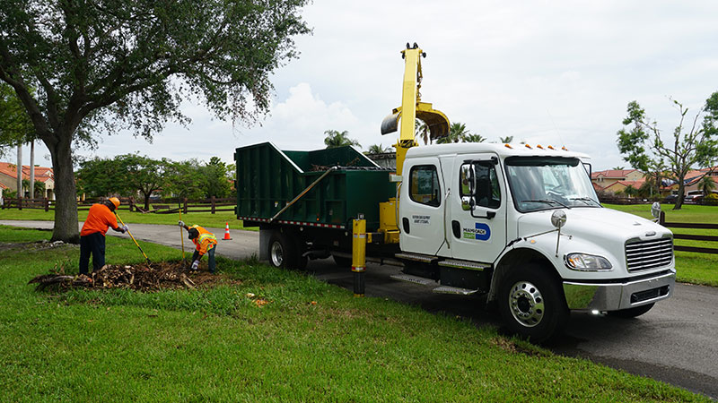 Hurricane debris cleanup