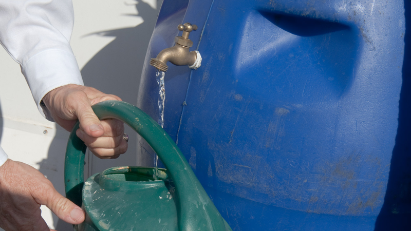 Someone pouring water from a rain barrel