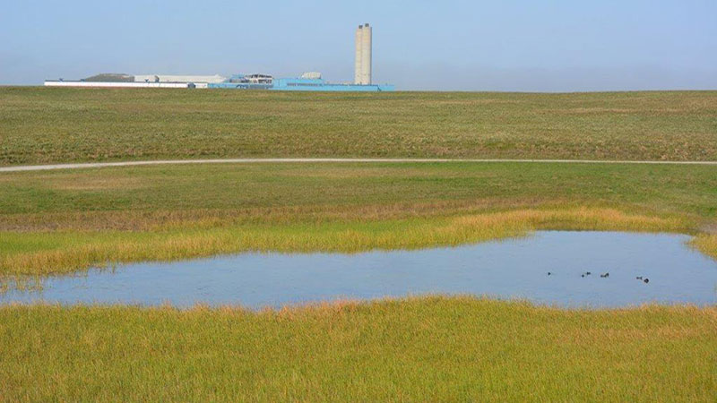 Landfill converted to wetlands.