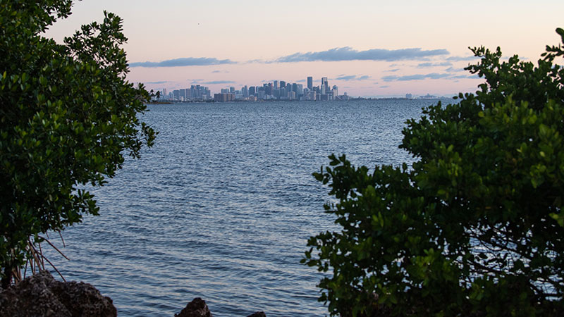 Climate Action Strategy draft and Biscayne Bay Report Card released
