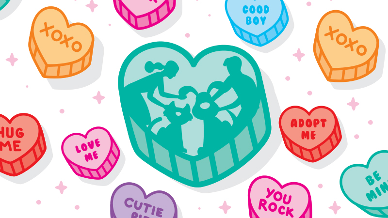 Picture of hearts