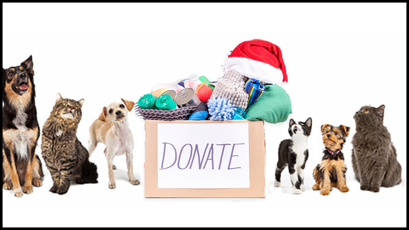 Donate box for presents for pets