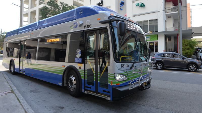 Metrobus on the street