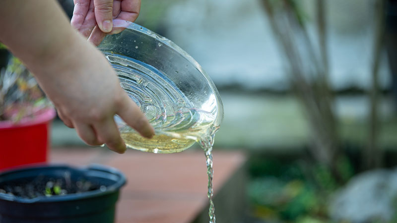 Planter saucer filled with water being spilled out.