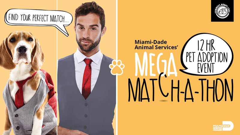 Find your perfect match at the Mega-Match-a-Thon.