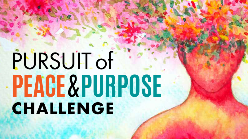 Pursuit of Peace and Purpose Challenge logo of facial silhouette with multi colored art
