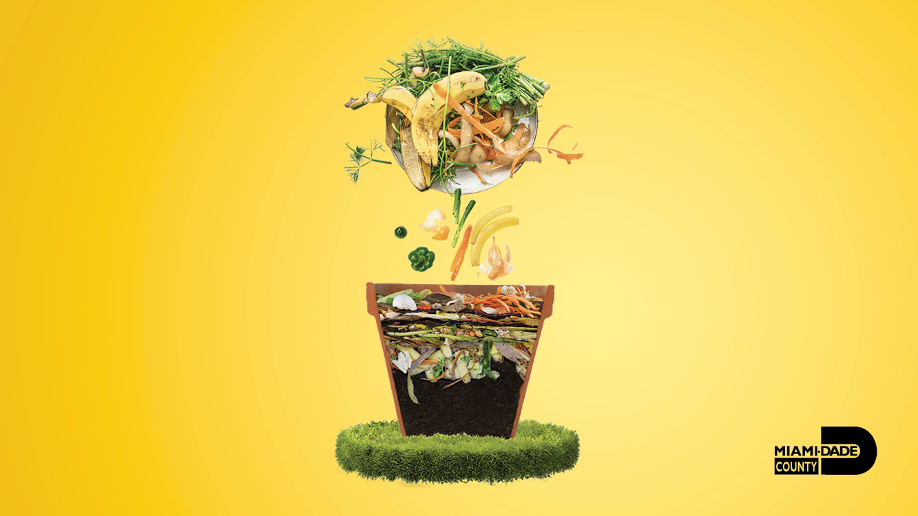 A mix of vegetables and fruits for composting
