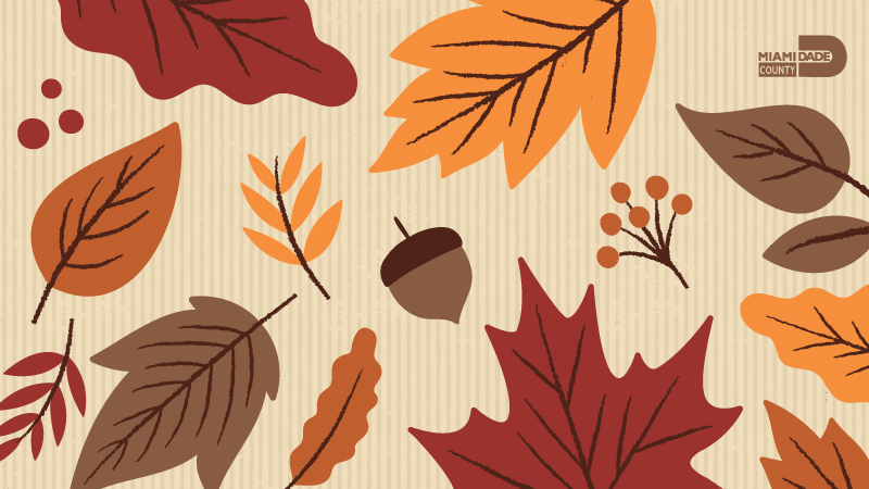 Fall leaves