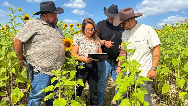 Deputies review data on a tablet in a sunflower field in Miami-Dade