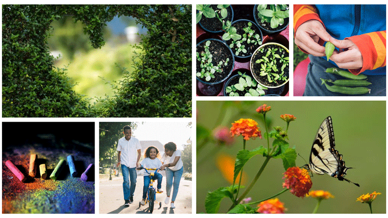 Collage of photos, acts of green