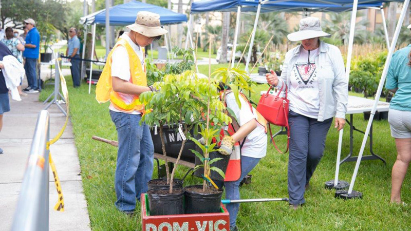 Get ready to Adopt-a-Tree, Sunday, June 4 Get ready to Adopt-a-Tree, Sunday, June 4