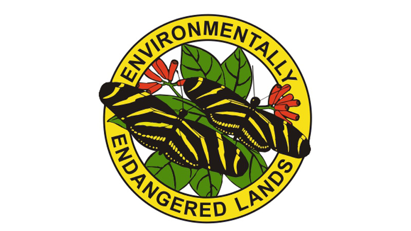Join this EEL event to help restore Florida City’s Pineland Preserve