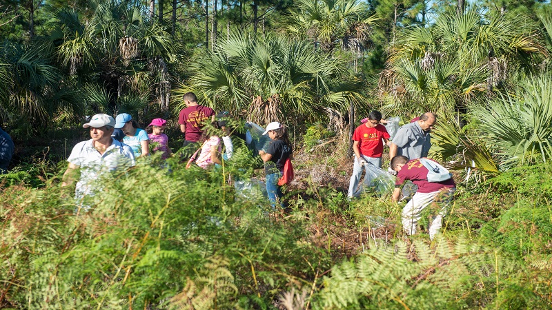 Help clean up our environmentally endangered lands