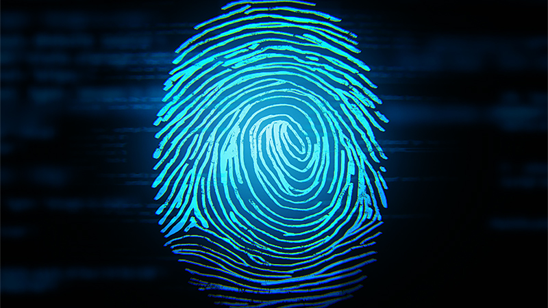 fingerprint 