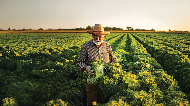 Man in a field