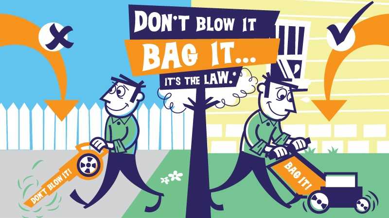 Don’t Blow It, Bag It artwork