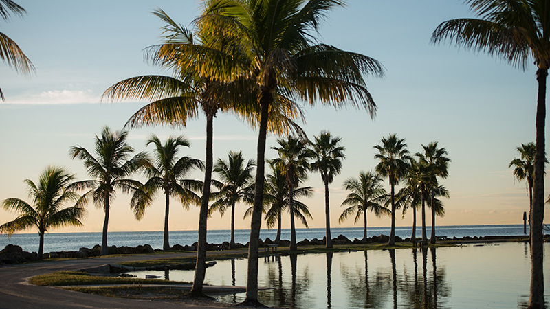 Matheson Hammock Park atoll pool