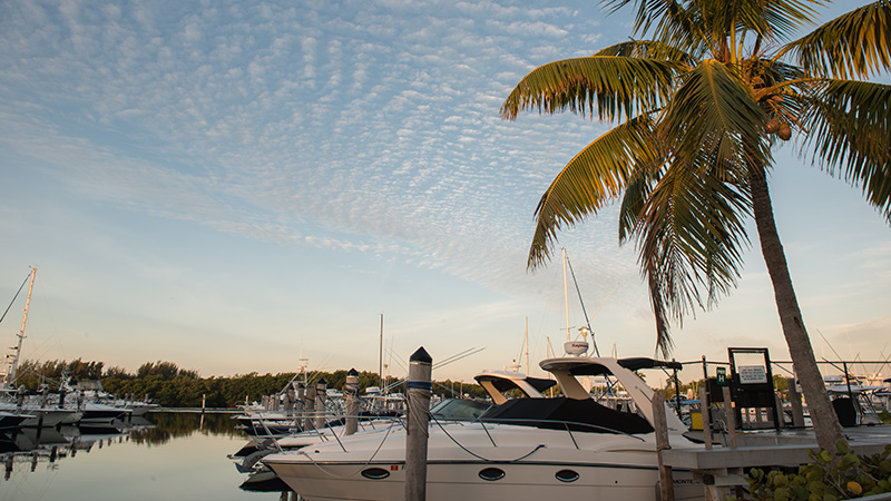 Matheson Hammock