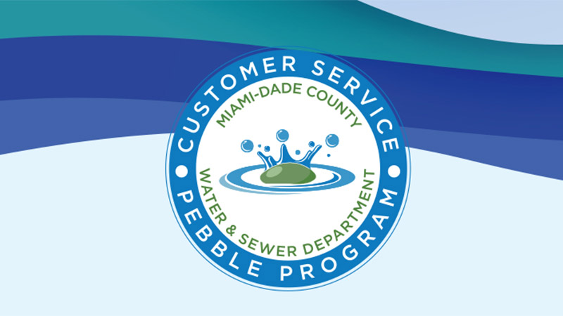 WASD Pebble program logo