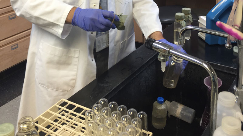 Miami-Dade's annual chlorine conversion scheduled for Sept. 9-22
