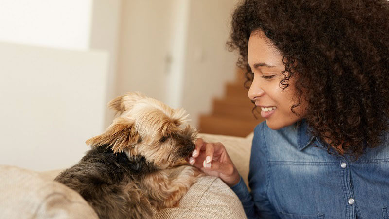 If you are 18 years of age or older, you can adopt a pet from our Pet Adoption and Protection Center.