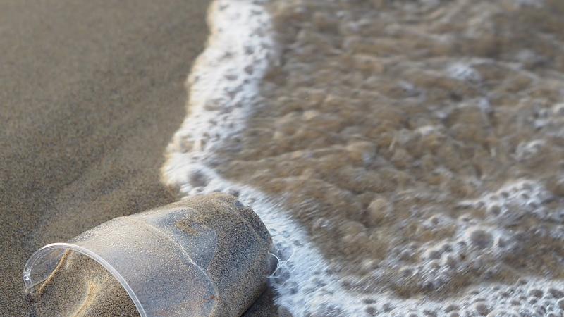 Plastic cup in sand at sea shore
