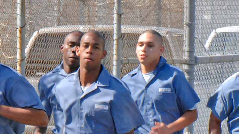 florida correctional facility inmate search