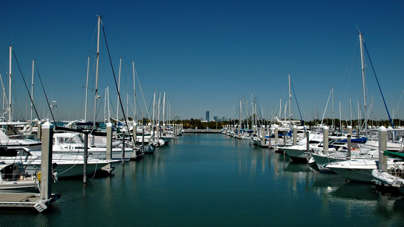 Boats in a marina