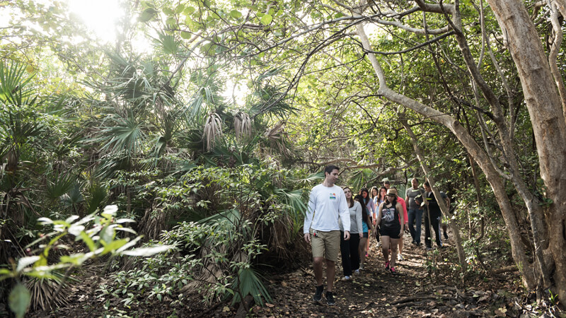 Group of people on a walking tour.