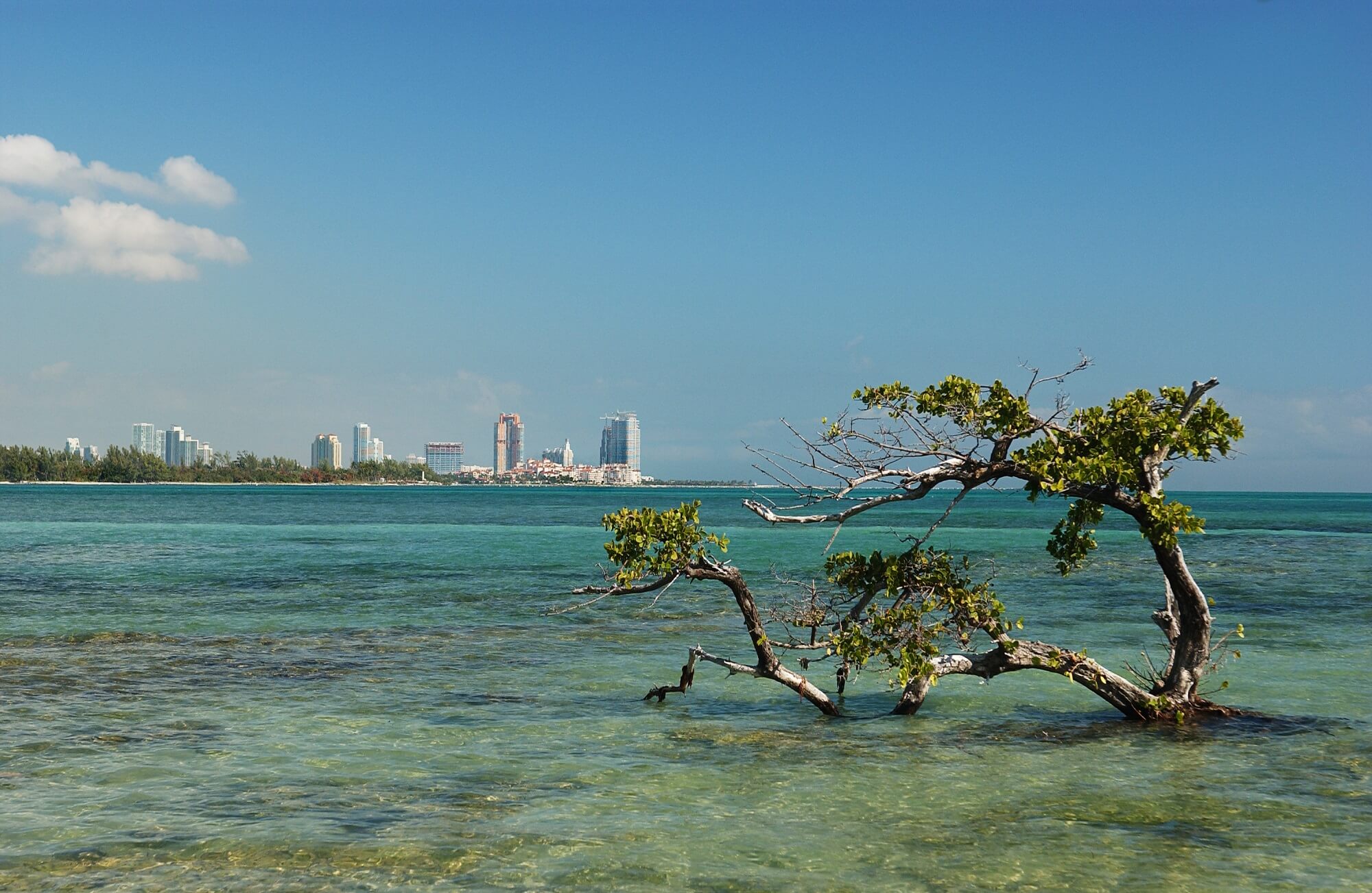 Image of Biscayne Bay