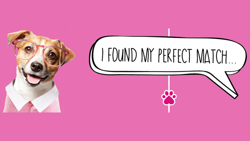 Dog graphics