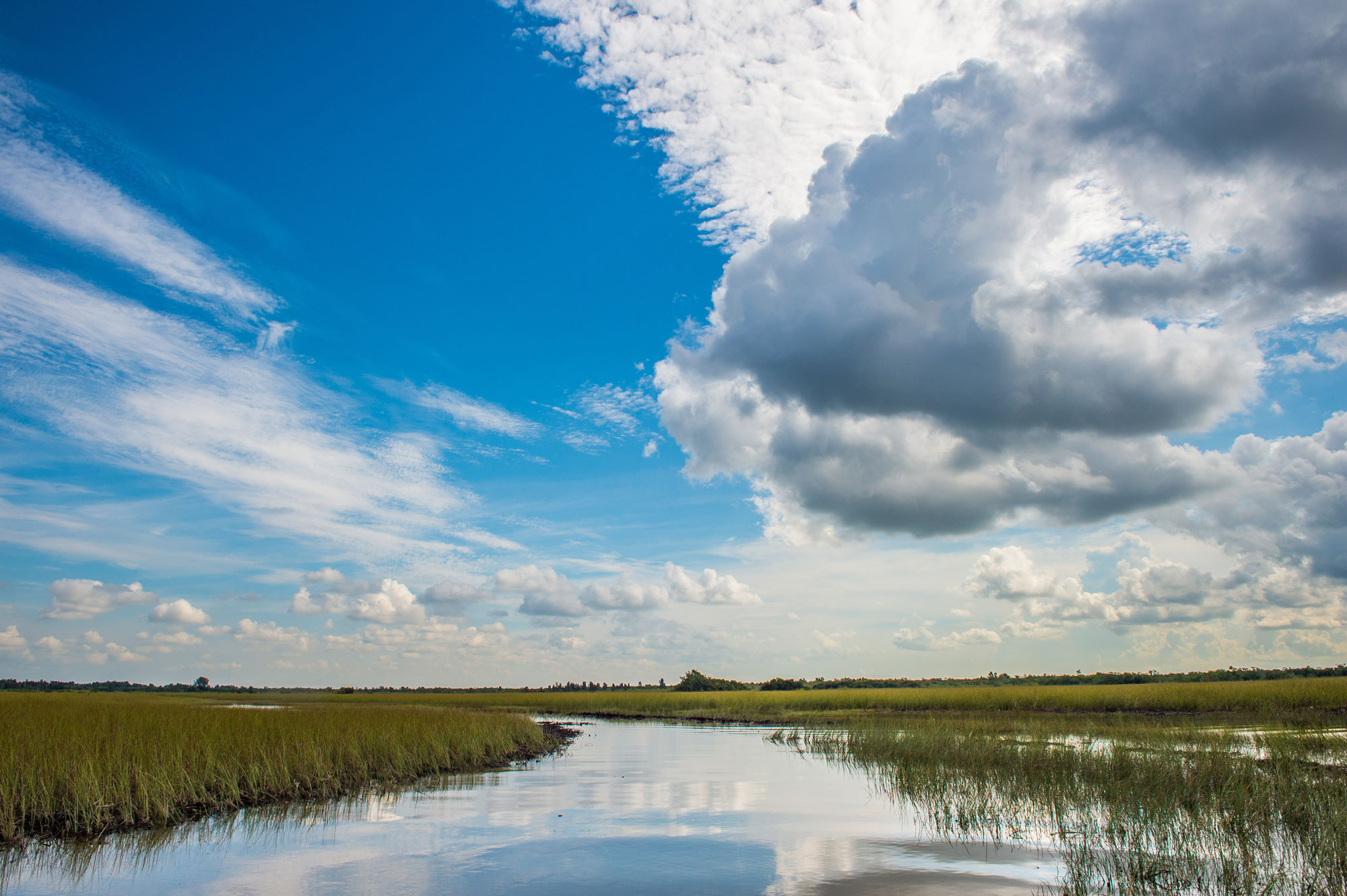 everglades wetlands and big blue sky